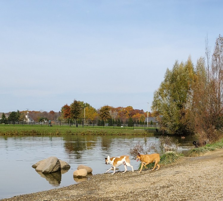Canine Meadow - Dog Park (Willoughby,&nbspOH)